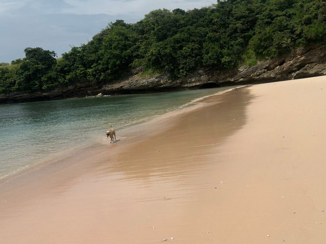 Pink Beach Lombok-罗威那海滩必去景点