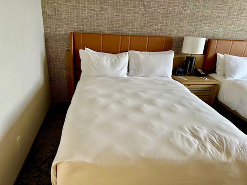 喜来登阿纳海姆度假公园酒店主图