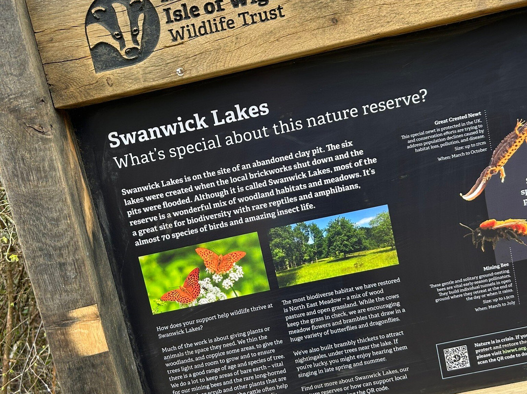 Swanwick Lakes景点图片