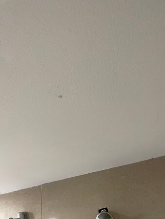 多伦多北约克贝斯特韦斯特优质套房酒店主图
