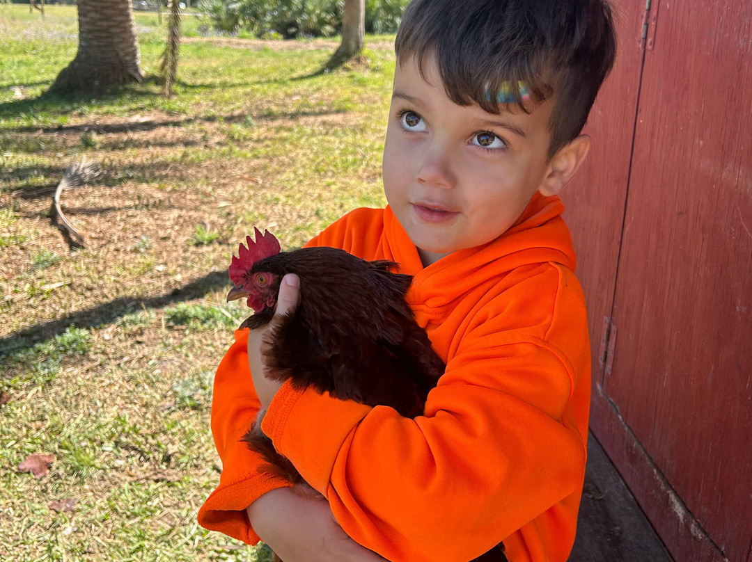 Jupiter Creamery-朱庇特必去景点