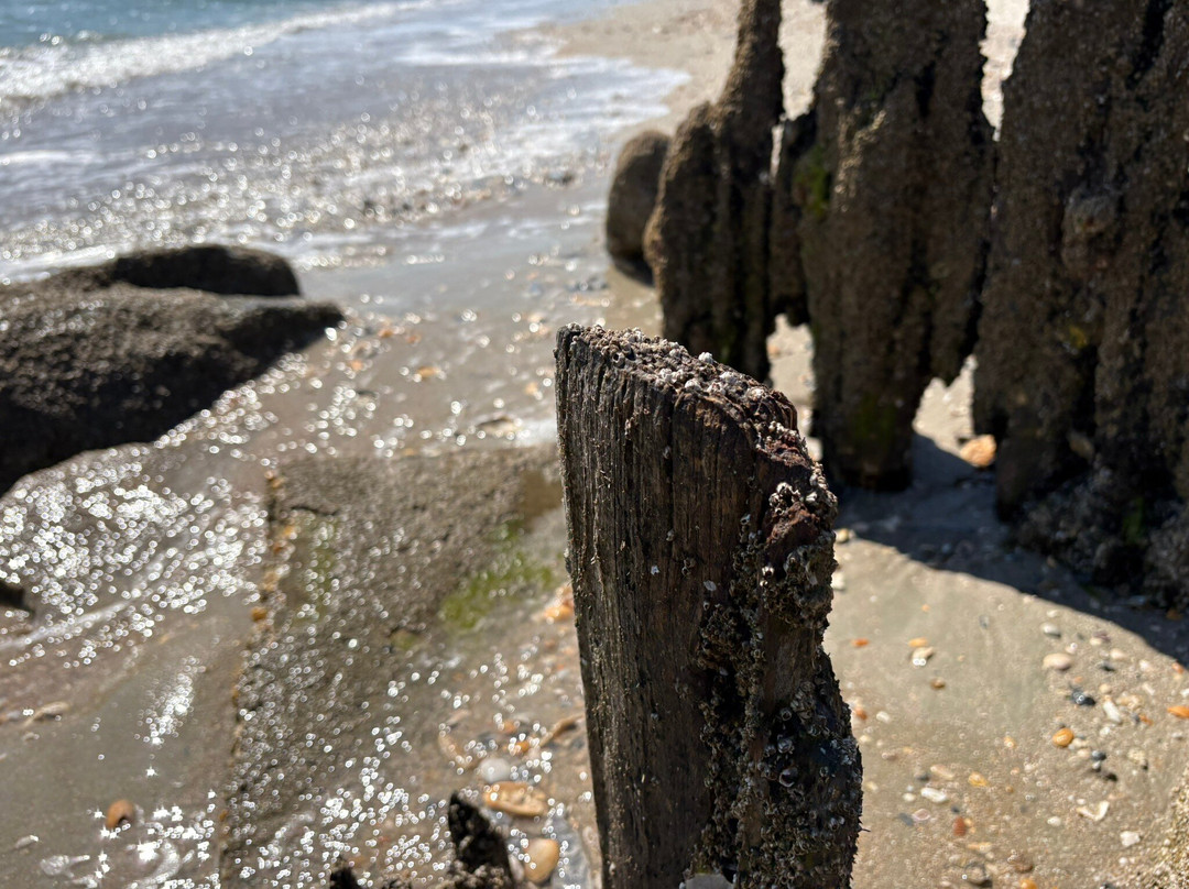 Pawleys Kayaks-帕利斯岛必去景点