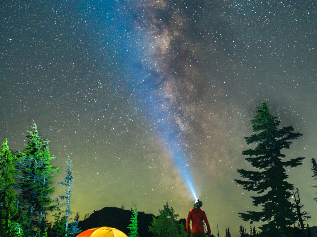 Bookshelf Winery And Venue-Anza必去景点