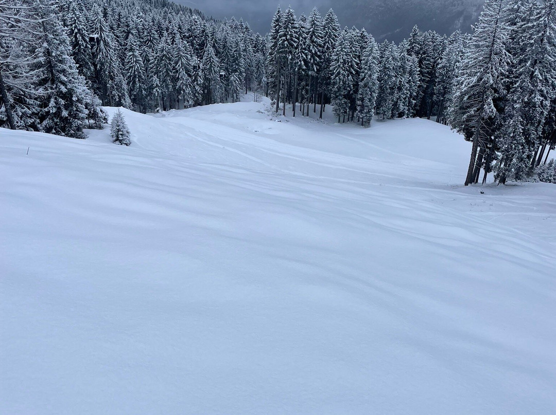 Skiarea Campiglio - Pinzolo-平佐洛必去景点