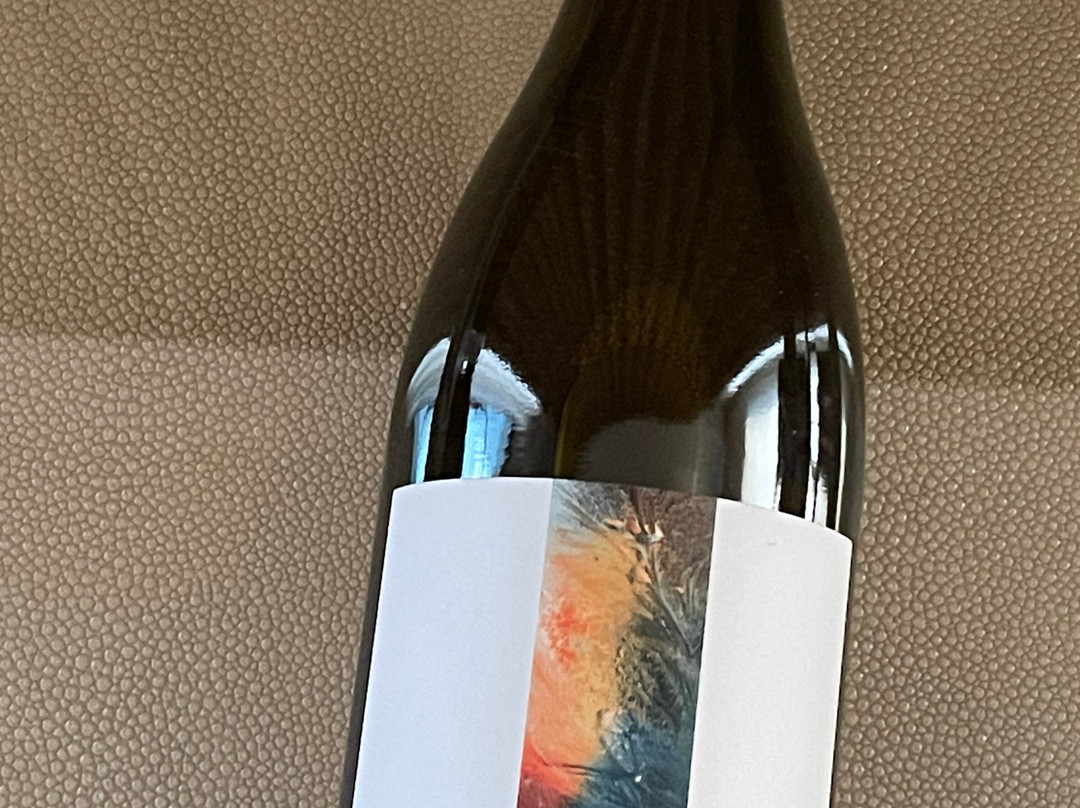 Bjornson Vineyard-塞勒姆必去景点