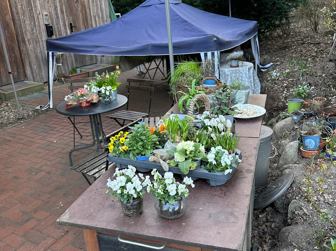 Hofcafé im Lohofer Speicher