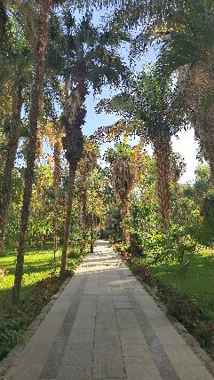 Christiane Botros guide francophone à Assouan-亚斯文必去景点