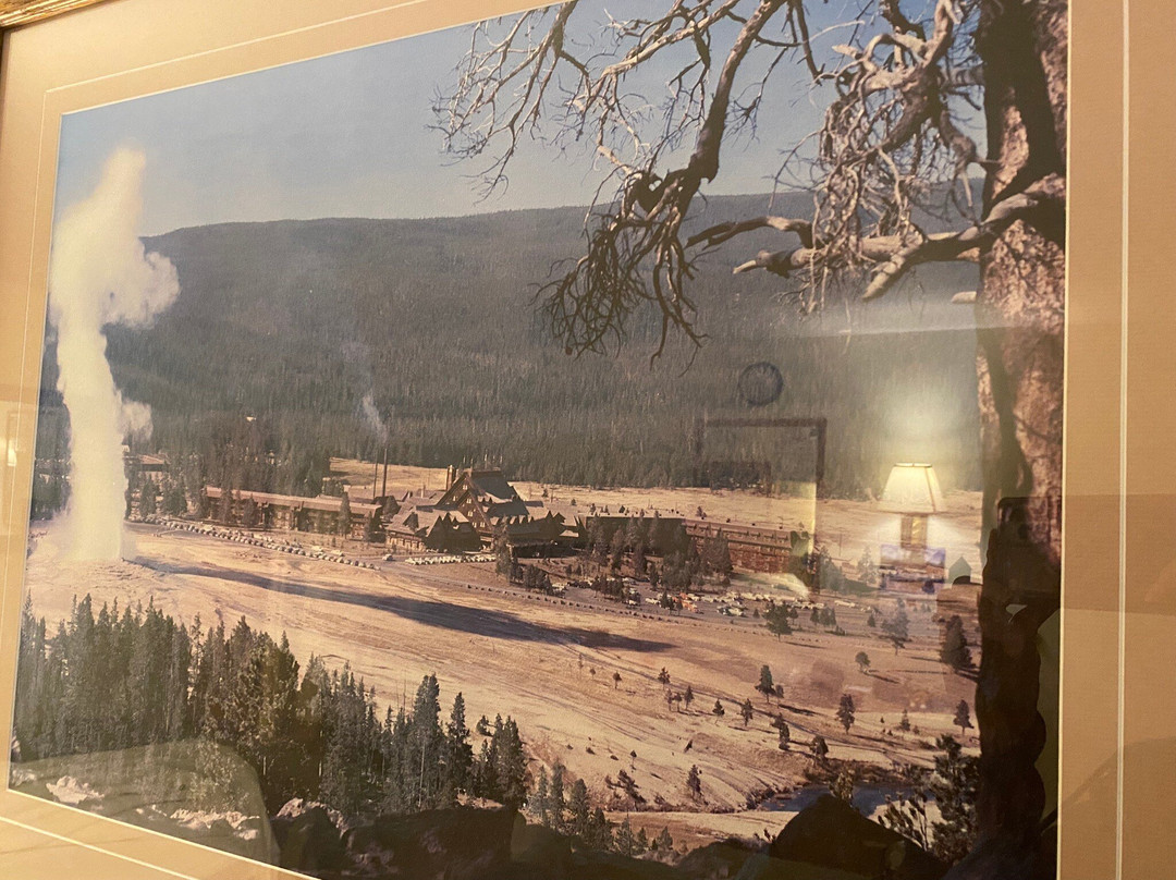 Little Bear Motel主图