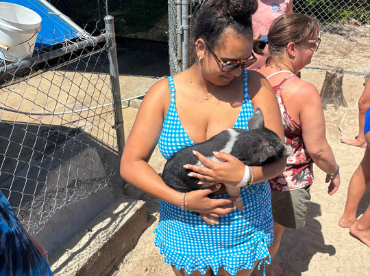 Creative Eco Adventures-弗里波特必去景点