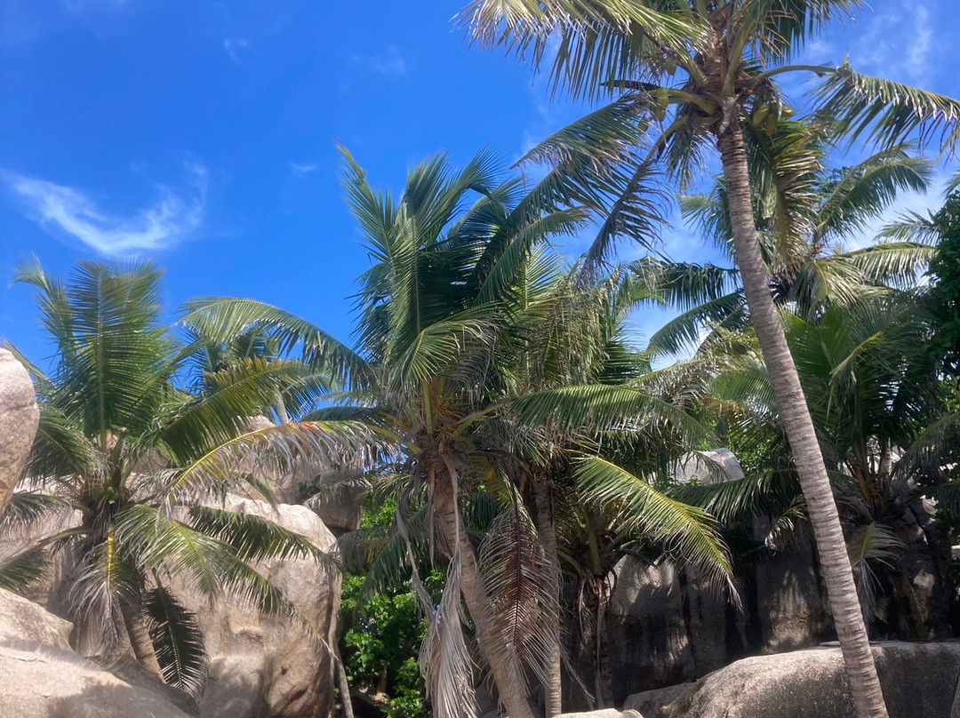 Coco Island景点图片
