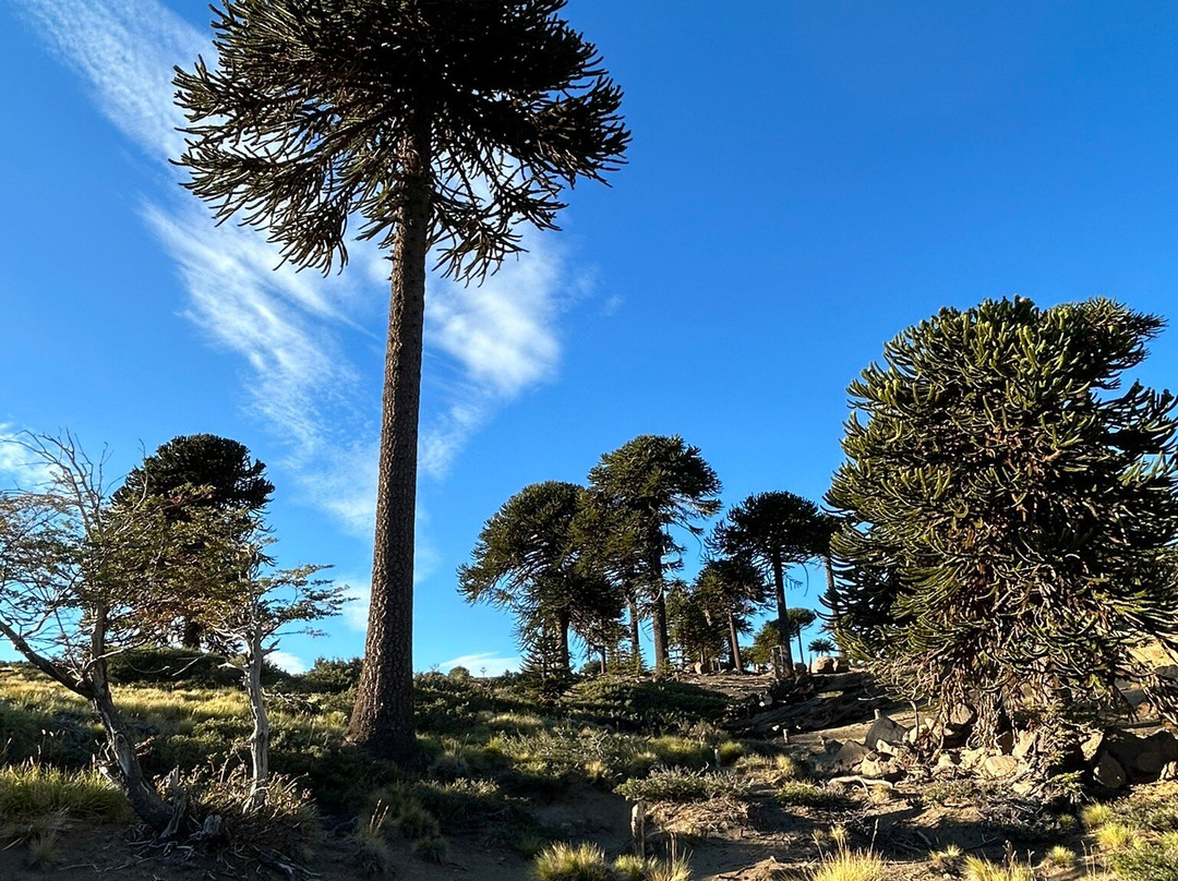Argentina Photo Workshops景点图片