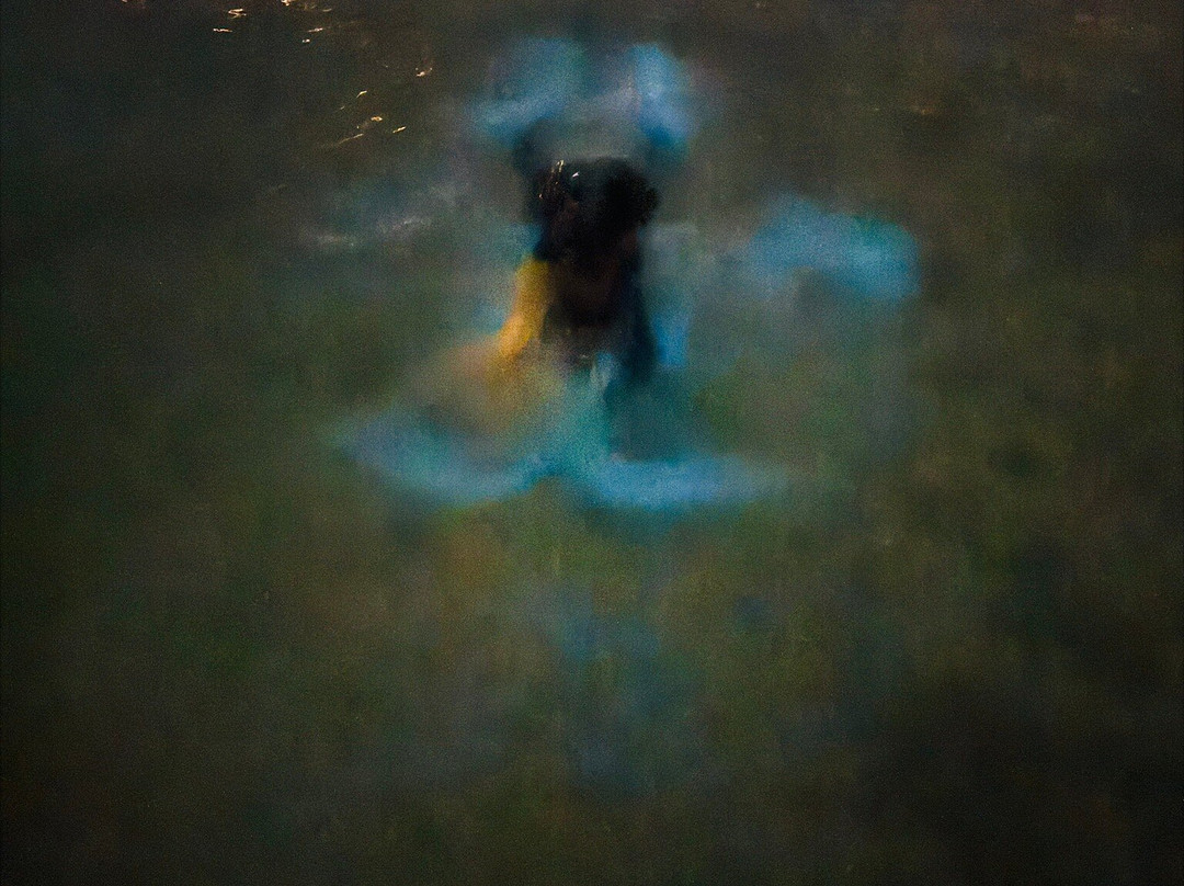 Bioluminescent Bay-大开曼岛必去景点