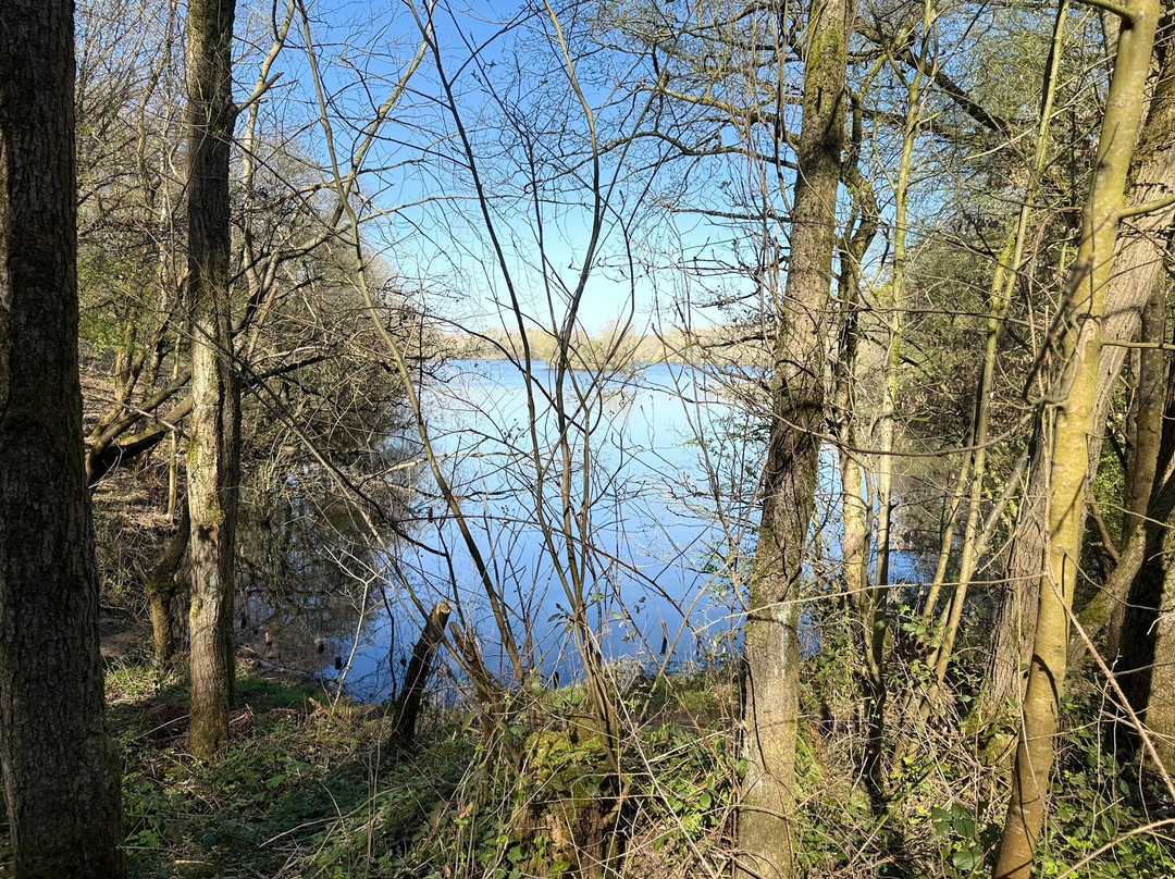 Clifton Country Park-Clifton必去景点