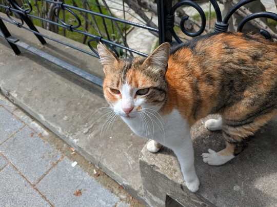 Bagdat Street-伊斯坦布尔必去景点