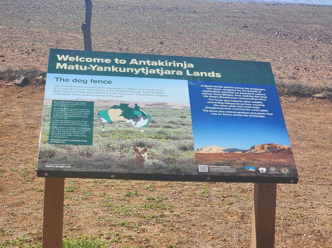 Dog Fence-库伯佩迪必去景点