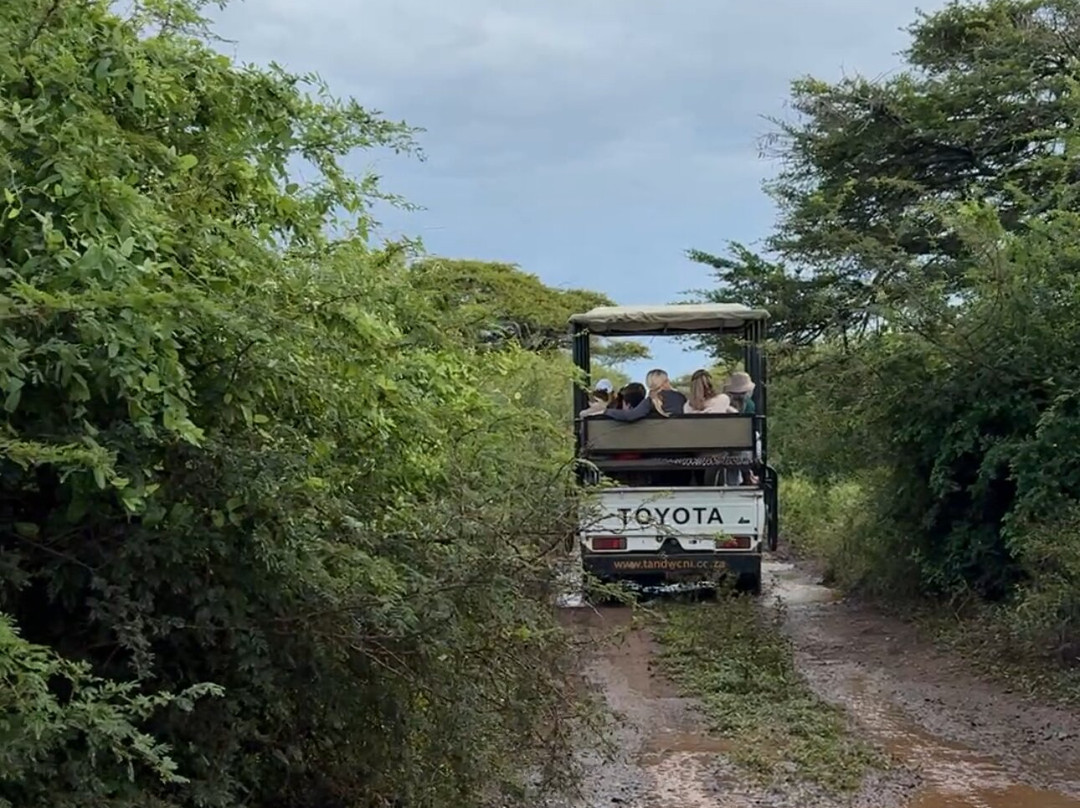 Tandweni Villa主图