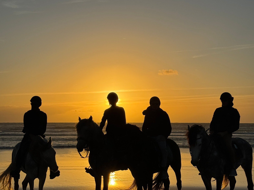 Ocean Ranch Essaouira-索维拉必去景点