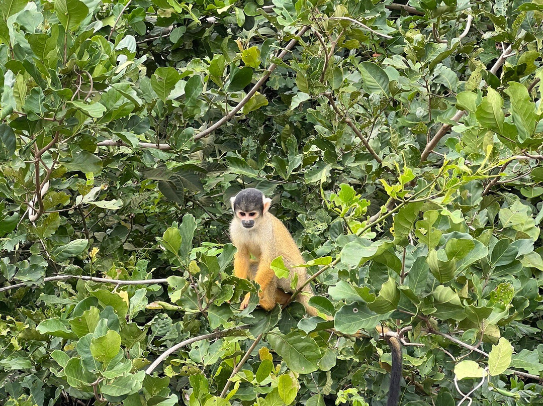 Yuruma Journeys-Rurrenabaque必去景点