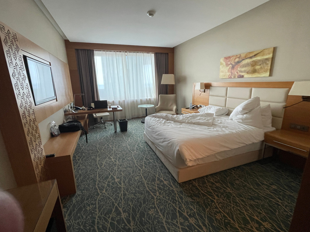 Holiday Inn Baku By IHG主图