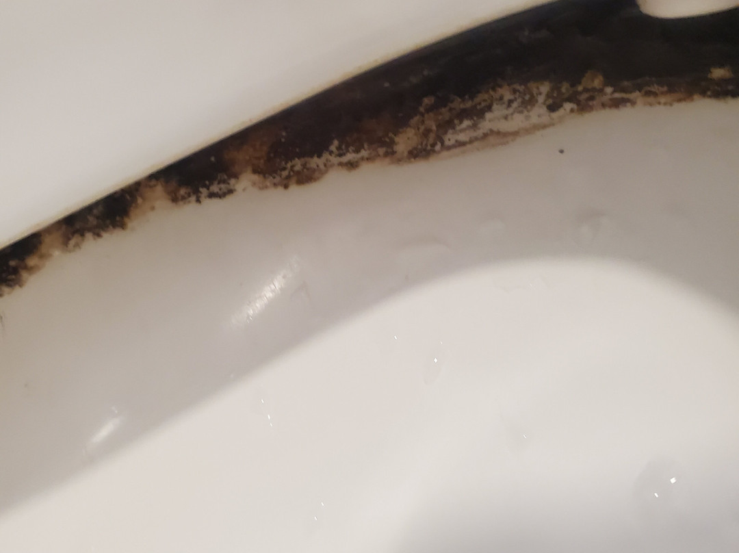 UCF/研究园凯富套房酒店主图