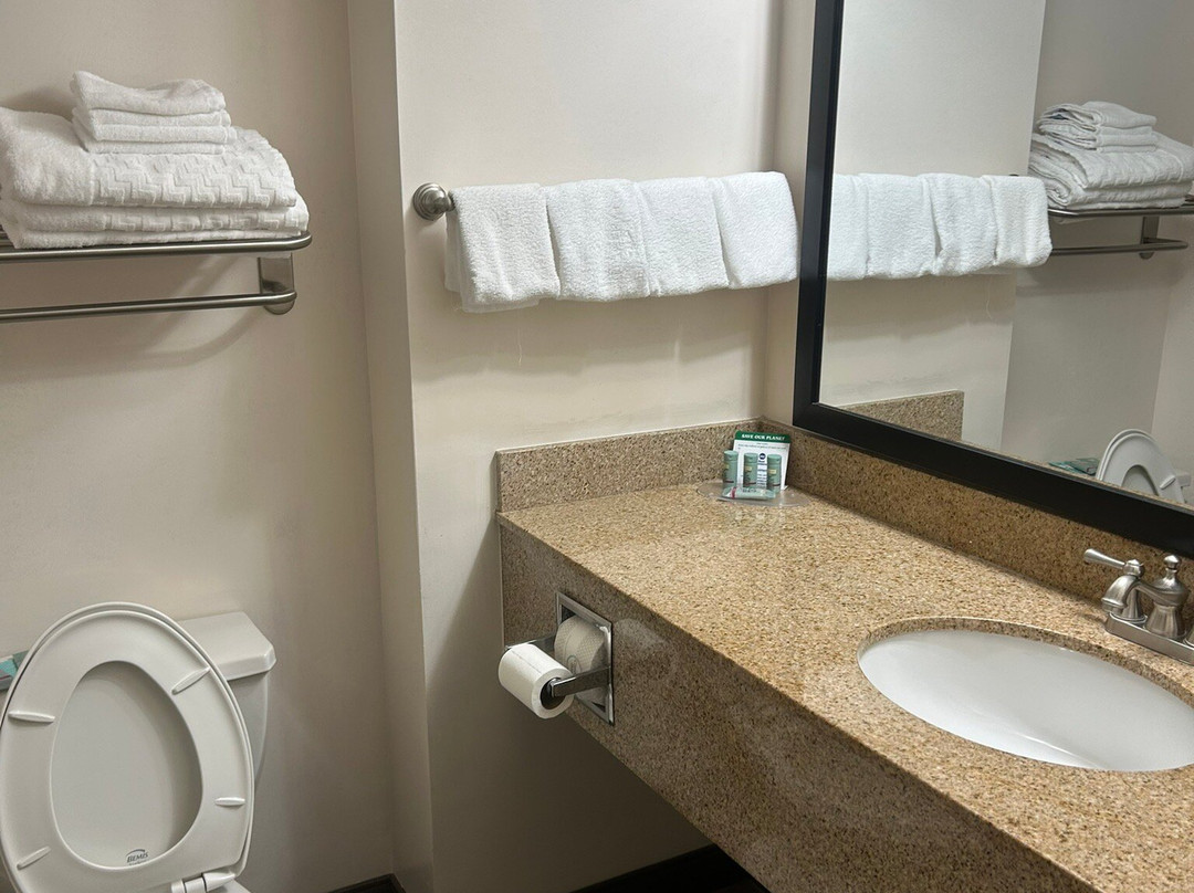 Best Western Oak Manor主图