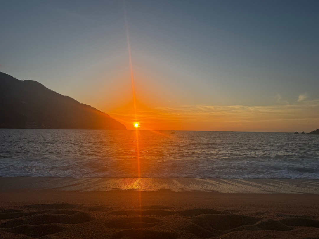 Vikara Wellness Retreats & Holistic Health-Yelapa必去景点