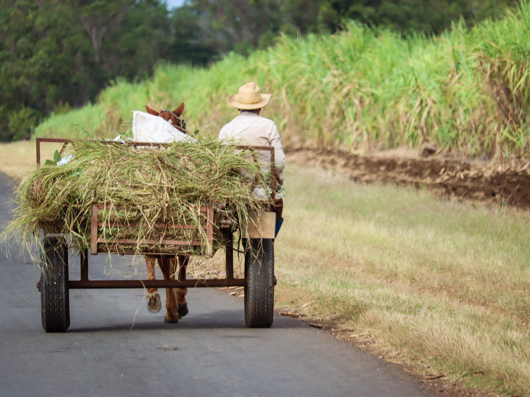Cuba Travel Adventures Group-Tiburon必去景点