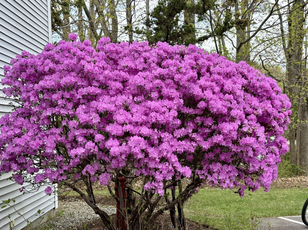 阿卡迪亚酒店主图