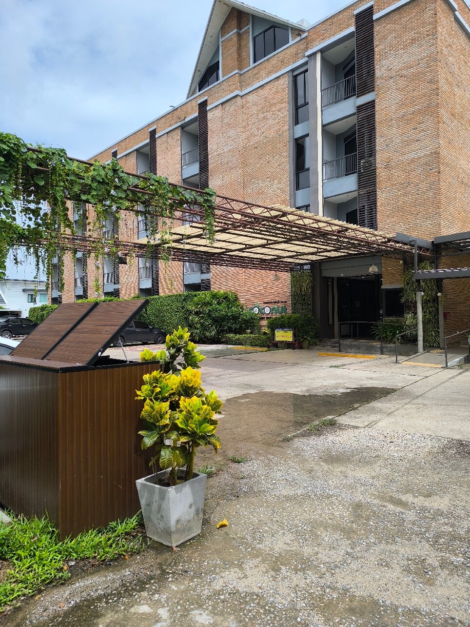 The Coconut Hotel-官方