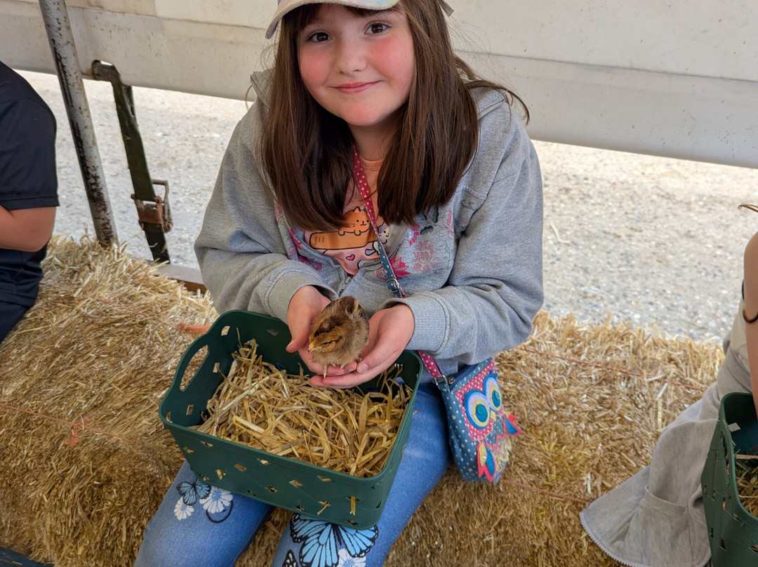 Boydells Dairy Farm-Wethersfield必去景点