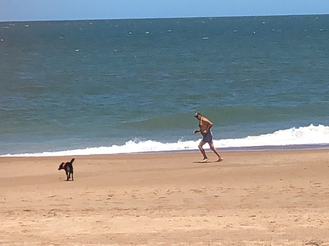 Playa Punta Ballena-Punta Ballena必去景点