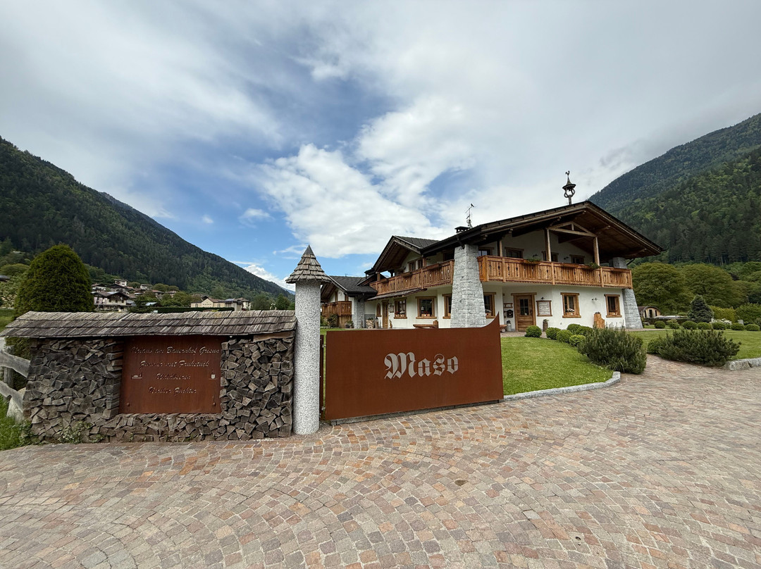 Agriturismo Maso Grisun主图