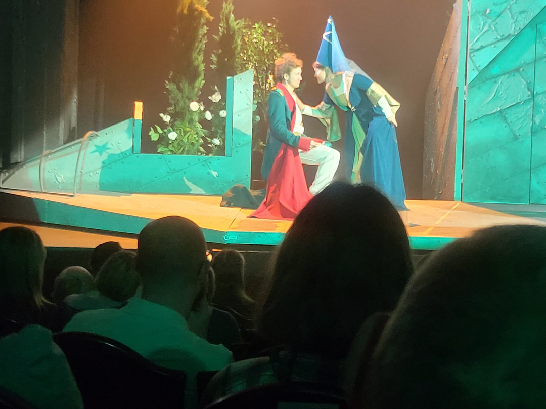 Drama Theatre on Liteiny景点图片