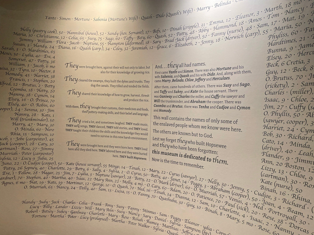 Hopsewee Plantation-乔治敦必去景点