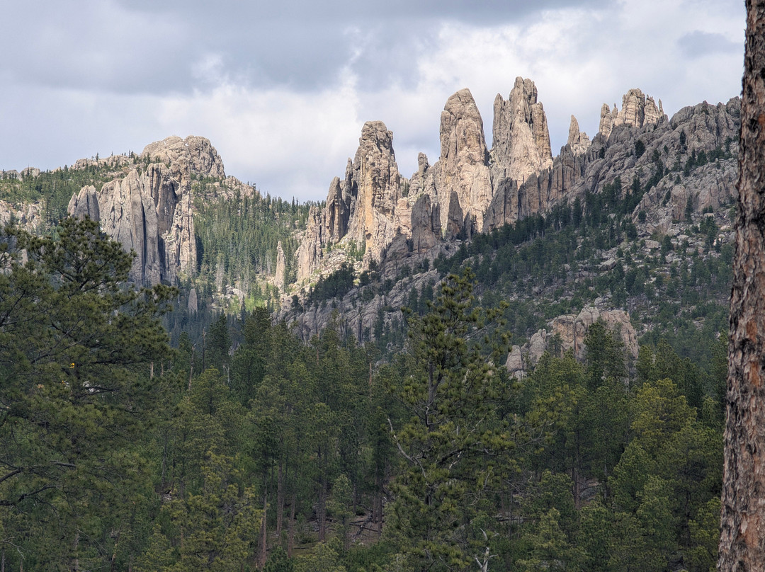 Black Hills Aerial Adventures-卡斯特必去景点