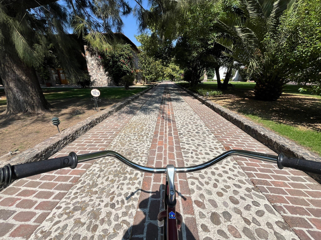 Hotel Hacienda Cantalagua主图