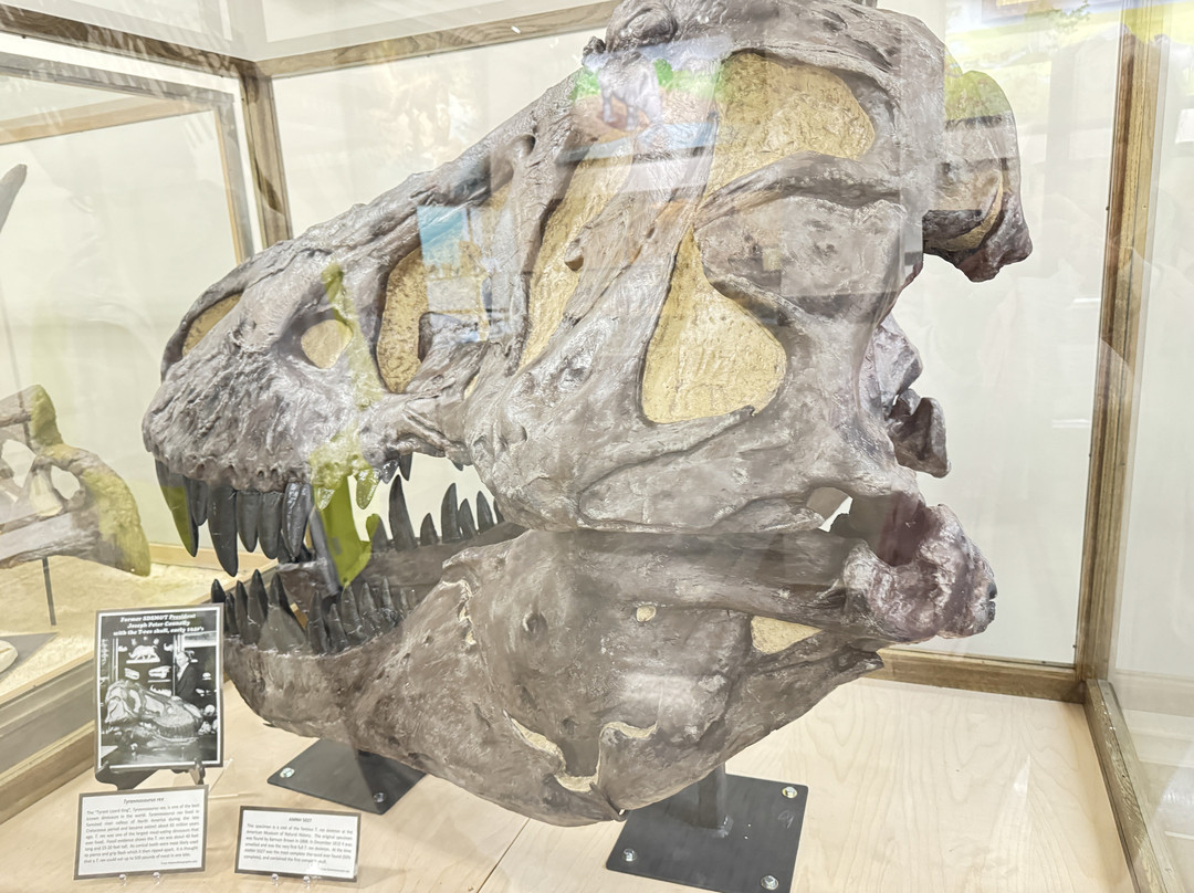 Museum of Geology-拉皮德城必去景点