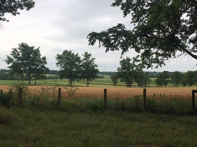 Maple Hill Manor Bed & Breakfast主图