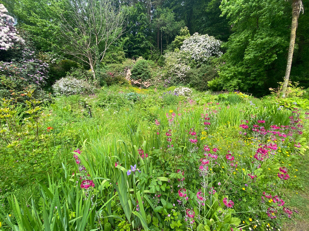 Minterne Gardens景点图片