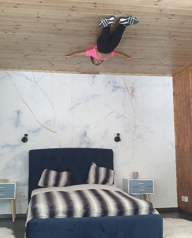 Upside Down House景点图片
