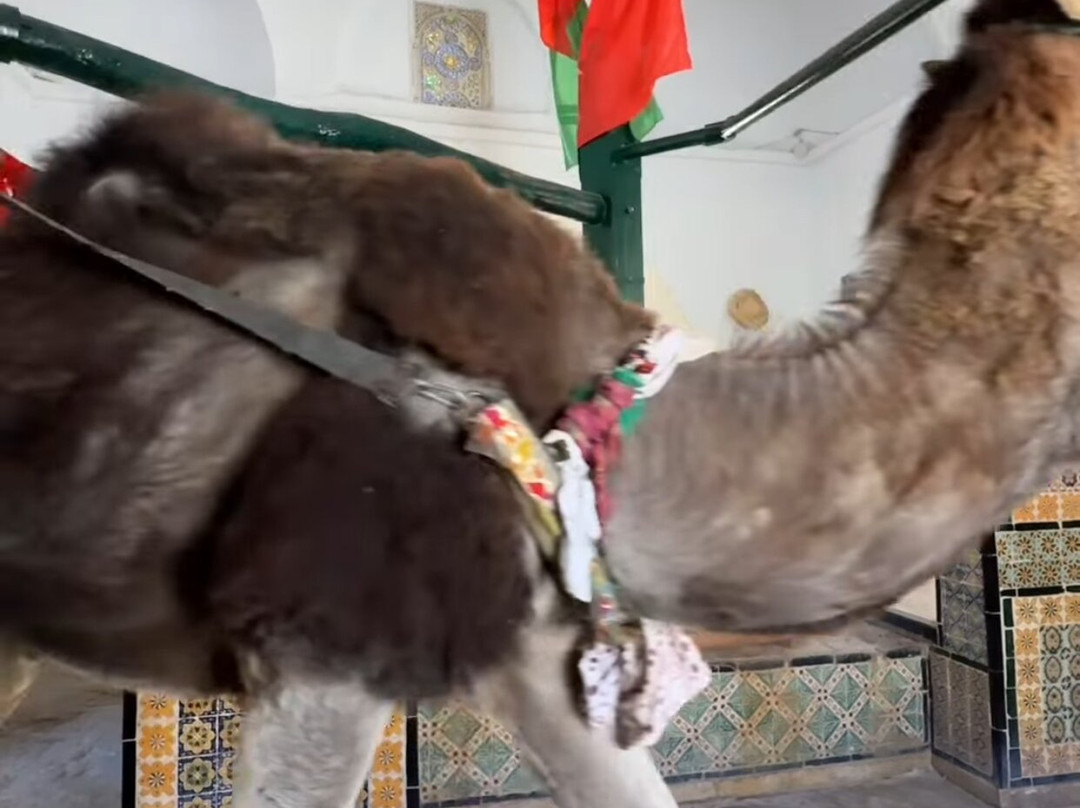 Bir Barouta景点图片
