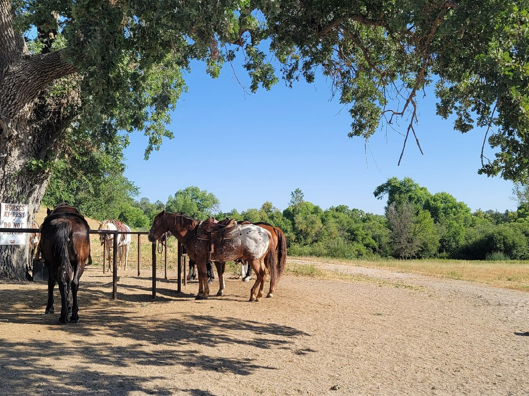 Central Coast Trailrides景点图片