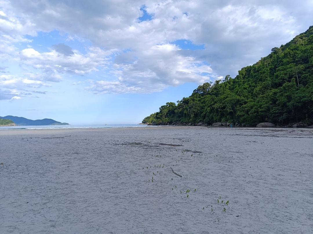 Praia de Dois Rios景点图片