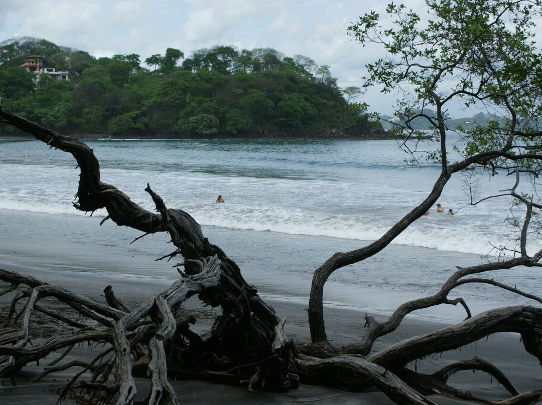 Playa Danta景点图片