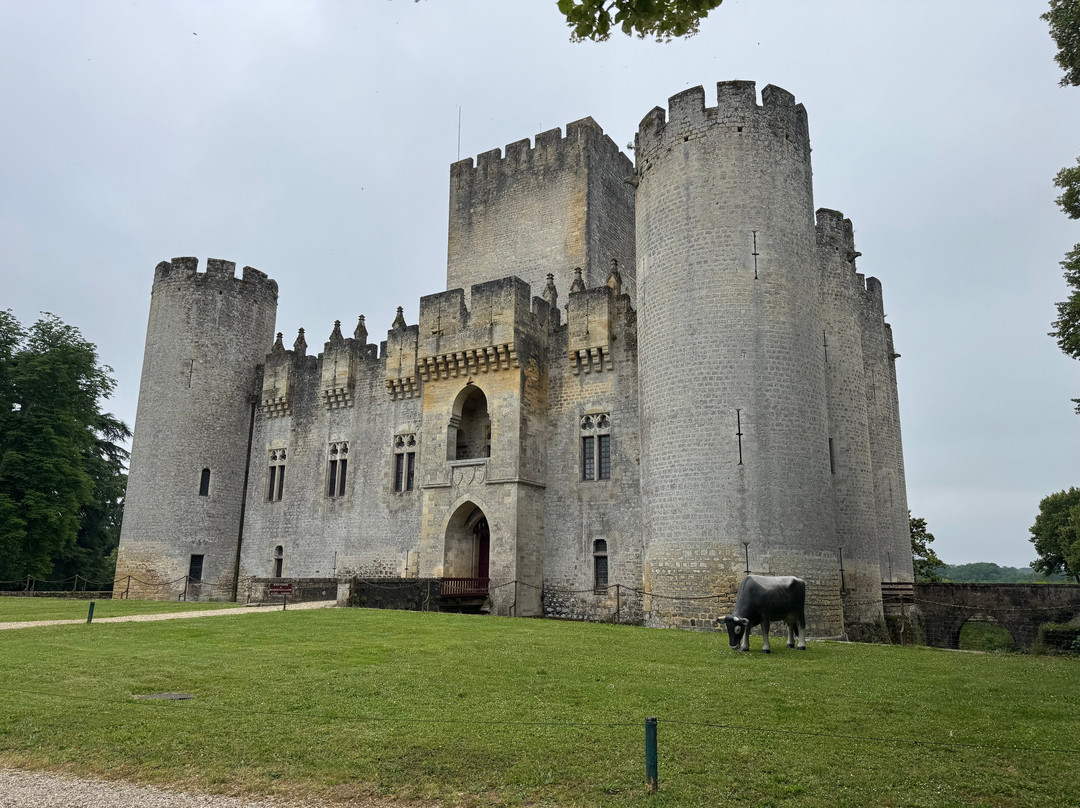 Chateau de Roquetaillade景点图片