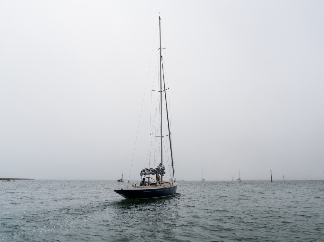 Puffin Cruises Lymington景点图片