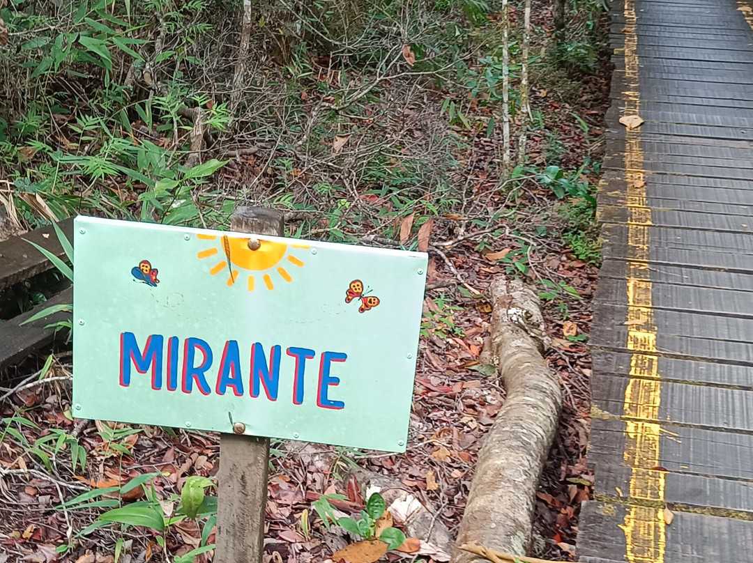 Cachoeira Loquinhas-上帕拉伊苏迪戈亚斯必去景点