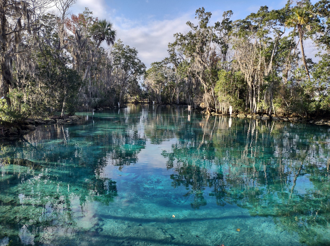 Crystal River-克里斯特尔里弗必去景点