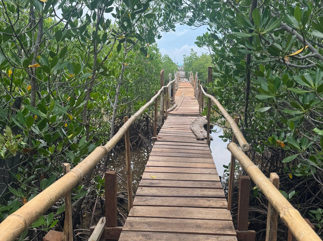 San Vicente Marine Sanctuary景点图片