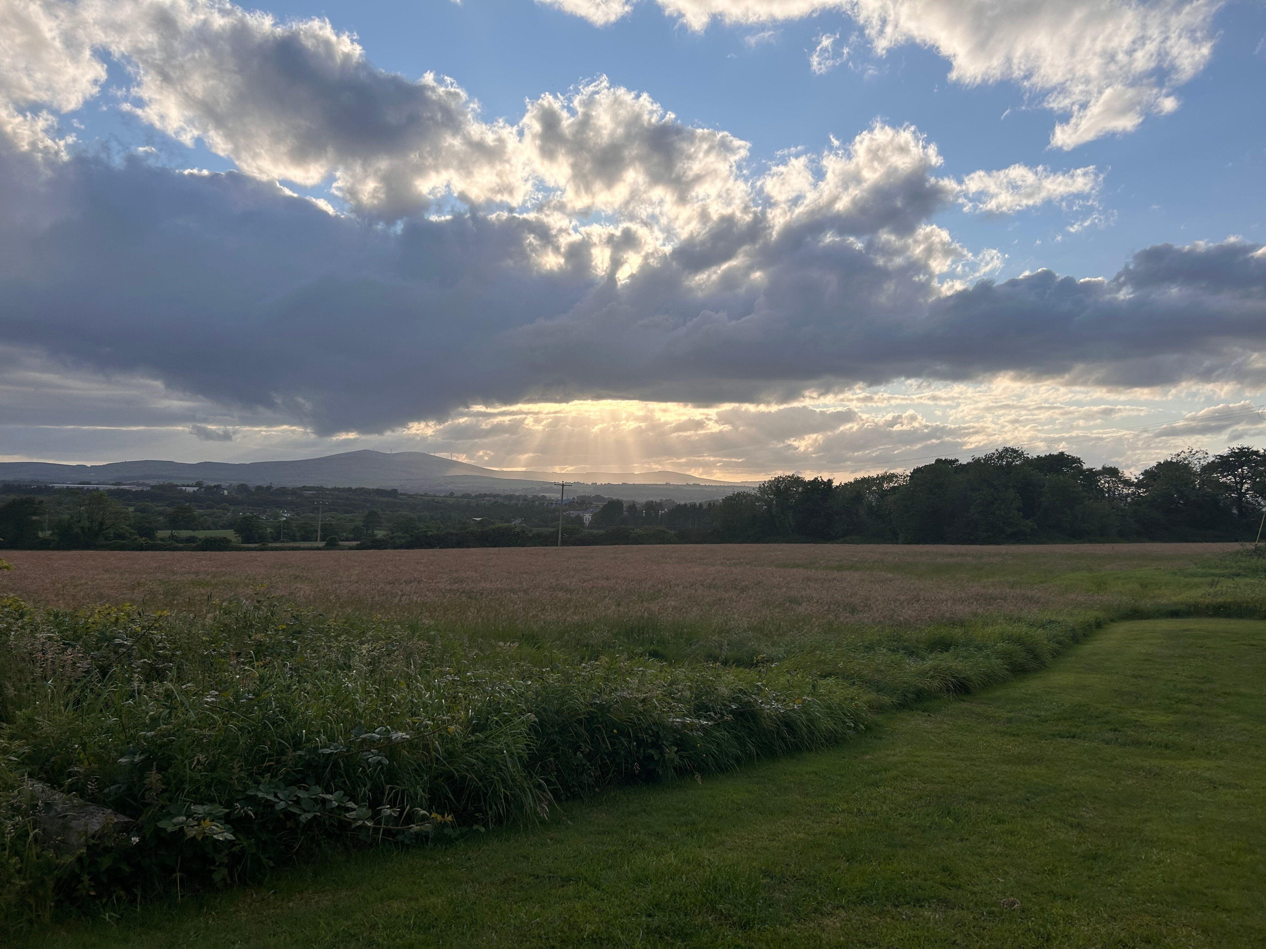 Moneylands Farm-官方